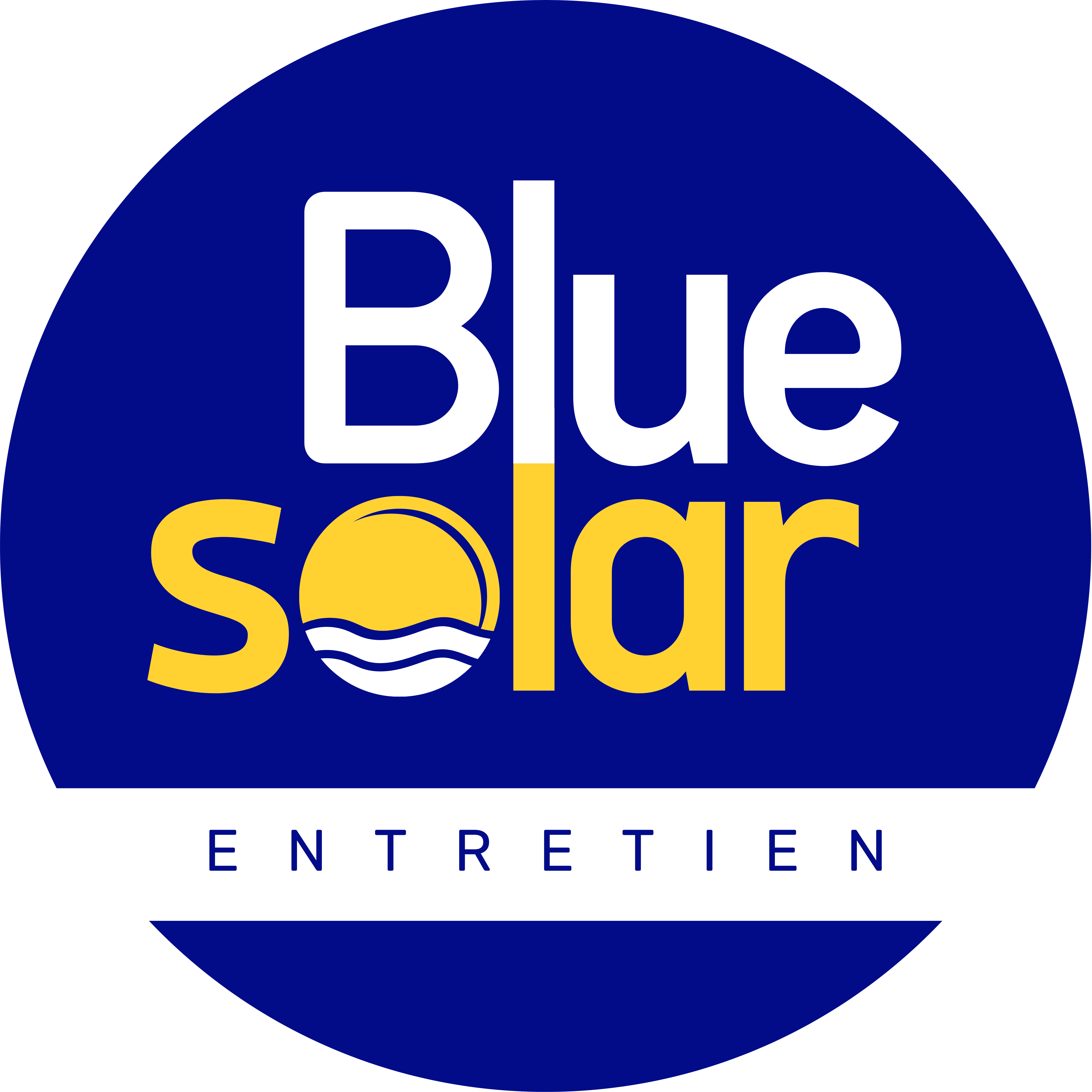 Bluesolar Entretien